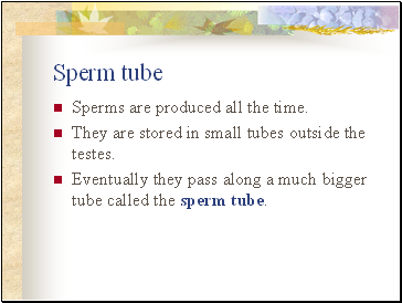 Sperm tube