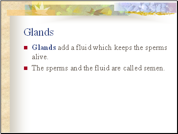 Glands