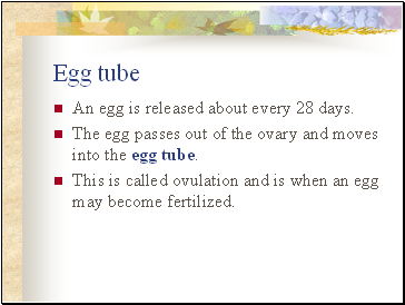 Egg tube