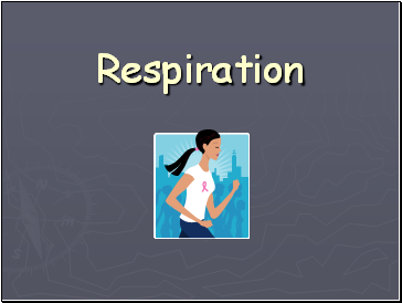 Respiration