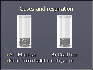 Gases and respiration