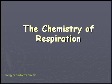 The Chemistry of Respiration