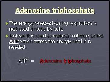 Adenosine triphosphate