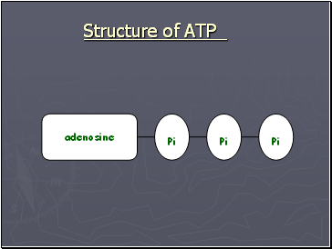 Structure of ATP