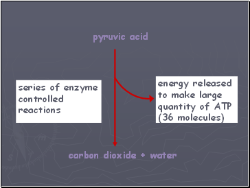 energy released to make large