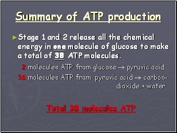 Summary of ATP production