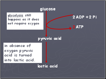 glycolysis still happens as it does not require oxygen