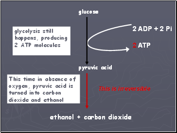 glycolysis still happens, producing