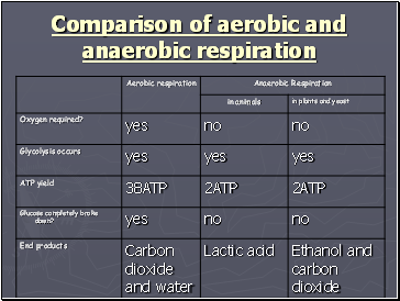 Comparison of aerobic and anaerobic respiration