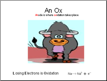 An Ox