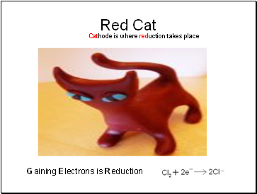 Red Cat