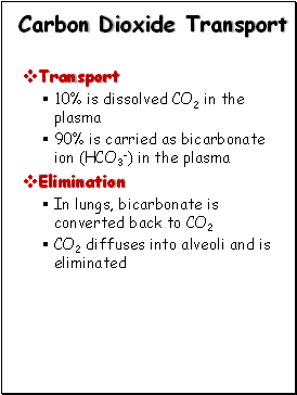 Carbon Dioxide Transport