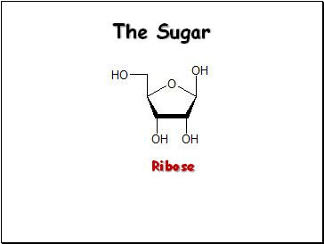 The Sugar