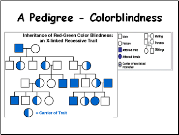 A Pedigree - Colorblindness