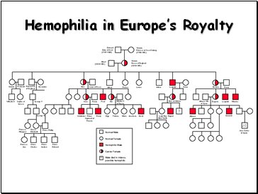 Hemophilia in Europe’s Royalty