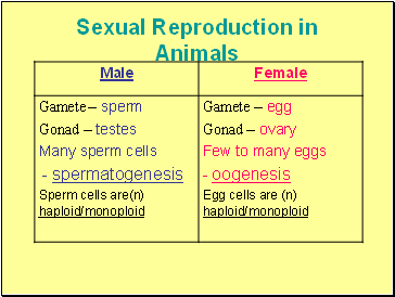 Sexual Reproduction in Animals