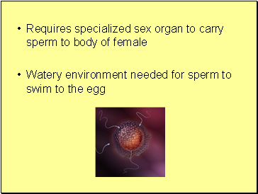 Requires specialized sex organ to carry sperm to body of female