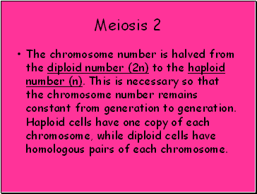 Meiosis 2