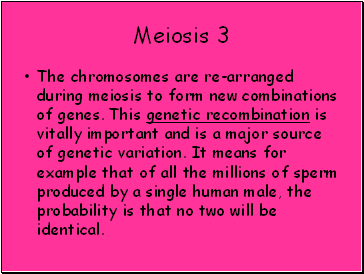 Meiosis 3
