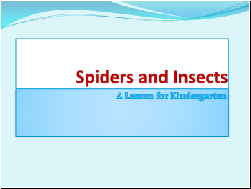 Spiders and Insects
