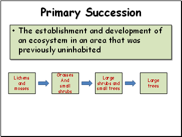 Primary Succession