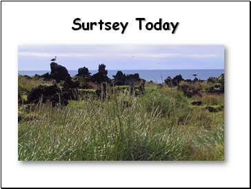 Surtsey Today