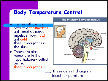 Body Temperature Control