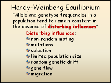 Hardy-Weinberg Equilibrium