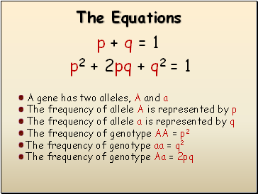 The Equations