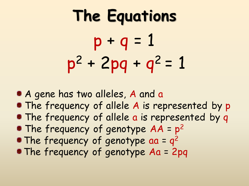 The hardy 'weinberg equation is tol biologists use to make predictions...