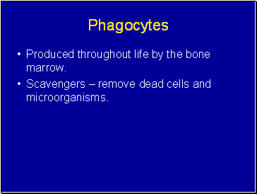 Phagocytes