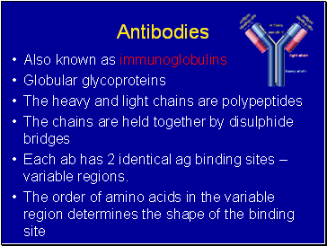 Antibodies