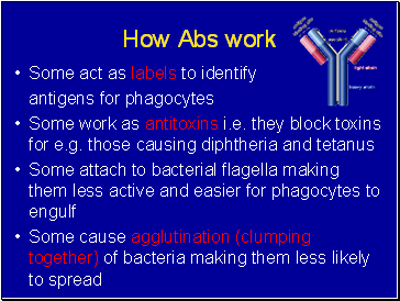 How Abs work