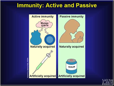 Active and Passive Immunity