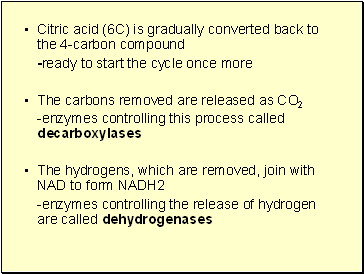 Citric acid (6C) is gradually converted back to the 4-carbon compound