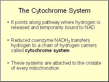 The Cytochrome System