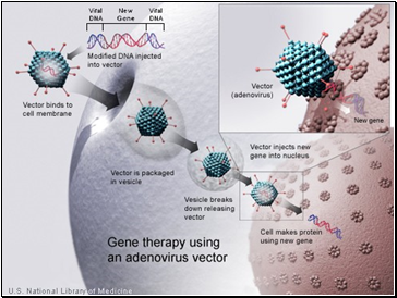 Gene Therapy