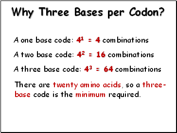 Why Three Bases per Codon?