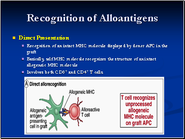 Recognition of Alloantigens