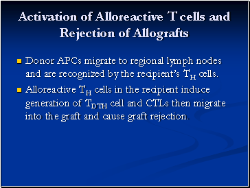 Activation of Alloreactive T cells and Rejection of Allografts
