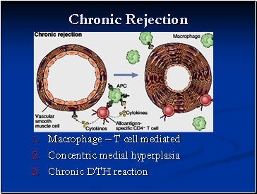 Chronic Rejection