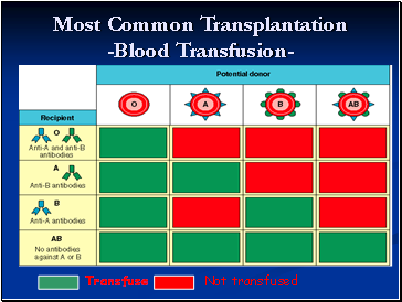 Most Common Transplantation -Blood Transfusion-