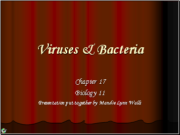 Viruses & Bacteria