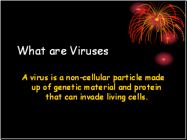 What are Viruses