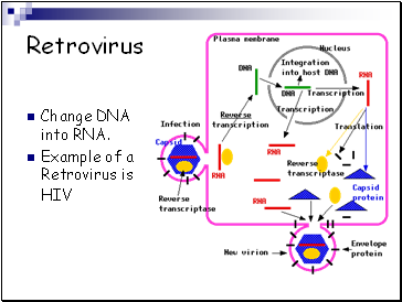 Retrovirus