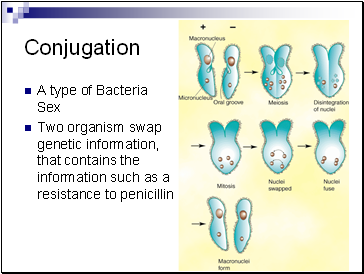 Conjugation