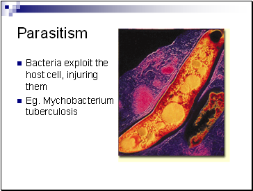 Parasitism