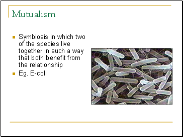 Mutualism