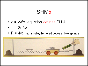 SHM5