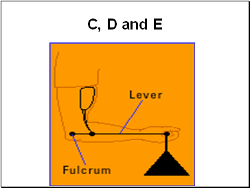 C, D and E